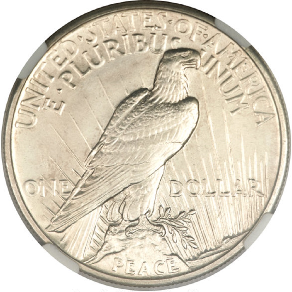 1921-High-Relief-Peace-Dollar-*new-Pics-Added-In-Natural-Light*
